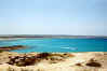 formentera_cala_saona.jpg (24679 byte)