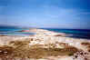 formentera_es_trucadors_3.jpg (22572 byte)