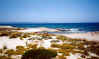 formentera_espalmador_5.jpg (20032 byte)