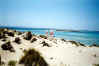 formentera_espalmador.jpg (20215 byte)