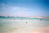 formentera_platia_de_ses_il.jpg (19615 byte)