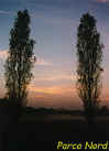 tramonto_autunnale_al_parco_nord_cinisello_balsamo
