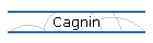 Cagnin