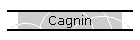 Cagnin
