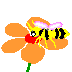 Roberto: l'ape-in-fiore