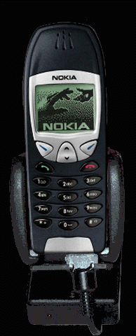 Il mio Nokia 6210 - Marzo 2002.