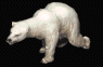 L'orso polare
