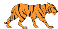La tigre