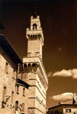 Torre di Montepulciano Seppia