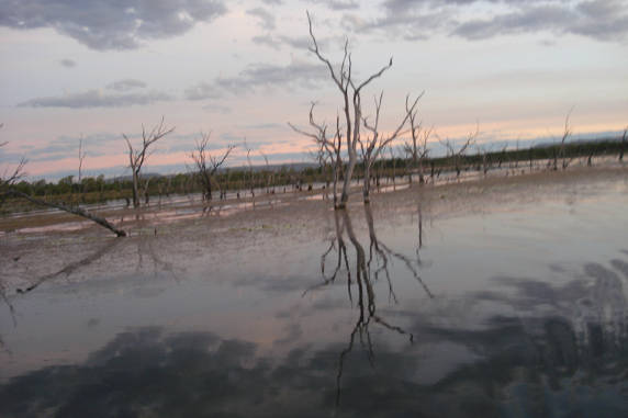 Kakadu N.P: