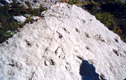 Impronte di dinosauri sull'altipiano delle Marocche