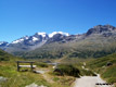 Panoramic point to the Bernina group