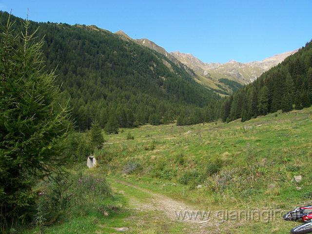 100_1446.JPG - Valle Strino