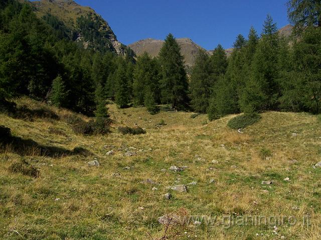 100_1452.JPG - Nei pressi di Malga Verniana