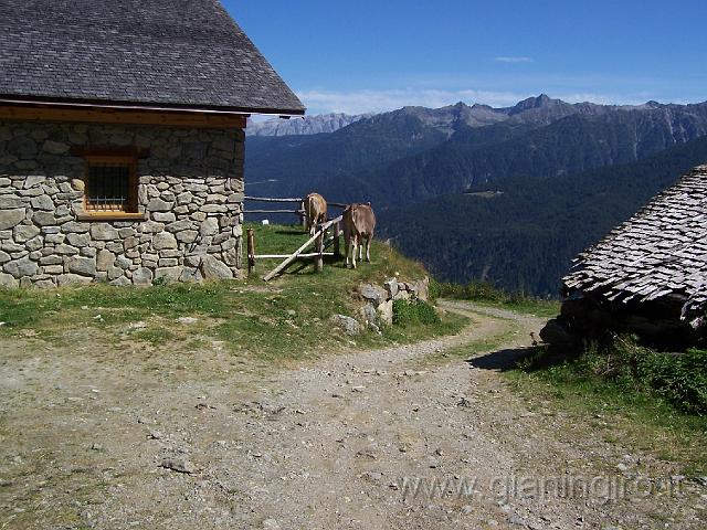 100_1472.JPG - Malga Boai