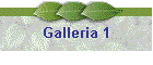 Galleria 1