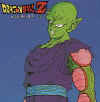 PICCOLO.jpg (16750 byte)