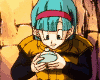 bulma1.gif (16943 byte)