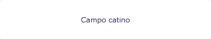 Campo catino