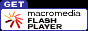 Flash  Player