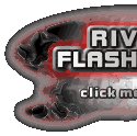 Rivedi Flash Intro