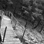 Ponte in legno - La cipresseta