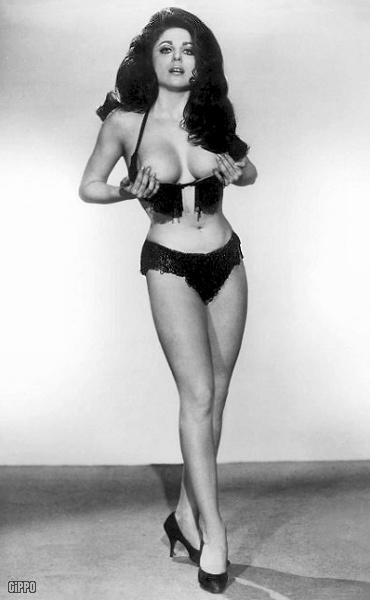 stripper 1960