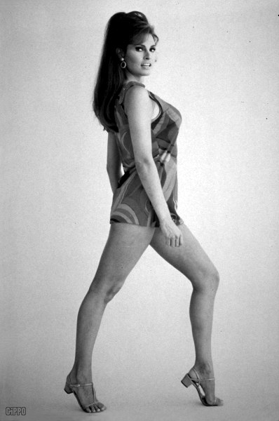 micro skirt 1970s