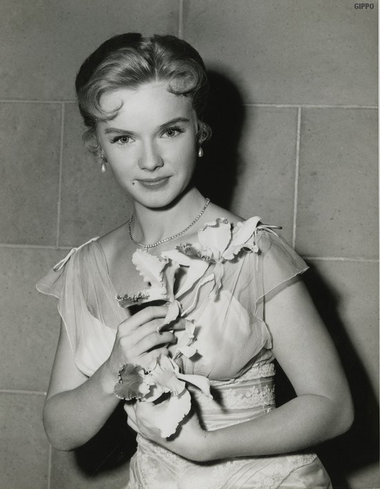 Anne Francis - Photos gallery pictures retro images 1954 1955 1956 1957