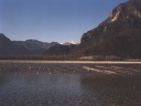 Fiume Tagliamento4