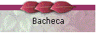 Bacheca