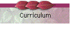 Curriculum