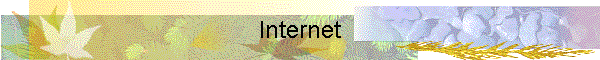 Internet