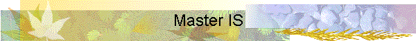 Master IS