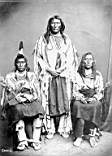 Long-Horse-(Black-Foot)-White-Calf-(Crow)-1873.jpg