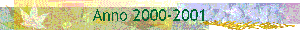 Anno 2000-2001