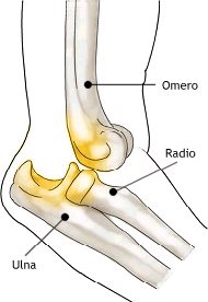 soccorso2.jpg (12321 byte)