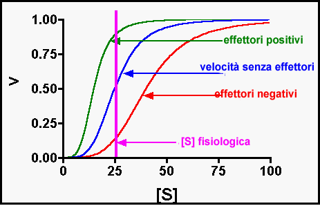 allo2.gif (6504 bytes)