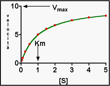 velocity.gif (4203 bytes)