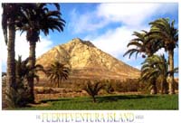 Isole Canarie Fuerteventura