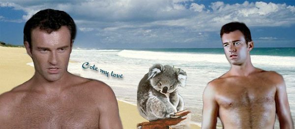 Cole koala