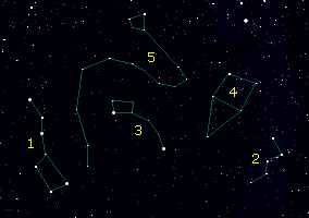 circumpolaris