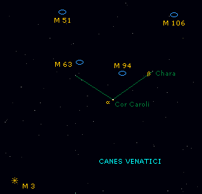 canes venatici