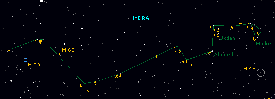 hydra