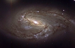 m66