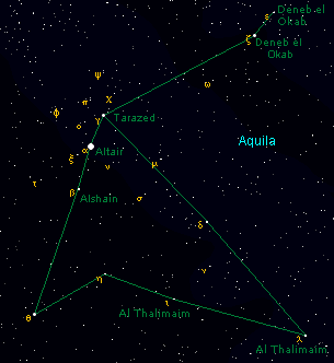 aquila