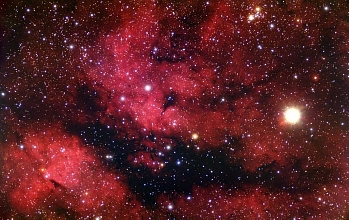 gamma cygni