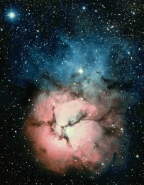 trifid