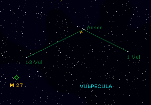 vulpecula