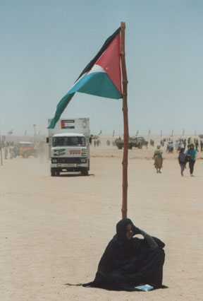 immagini dal sahara